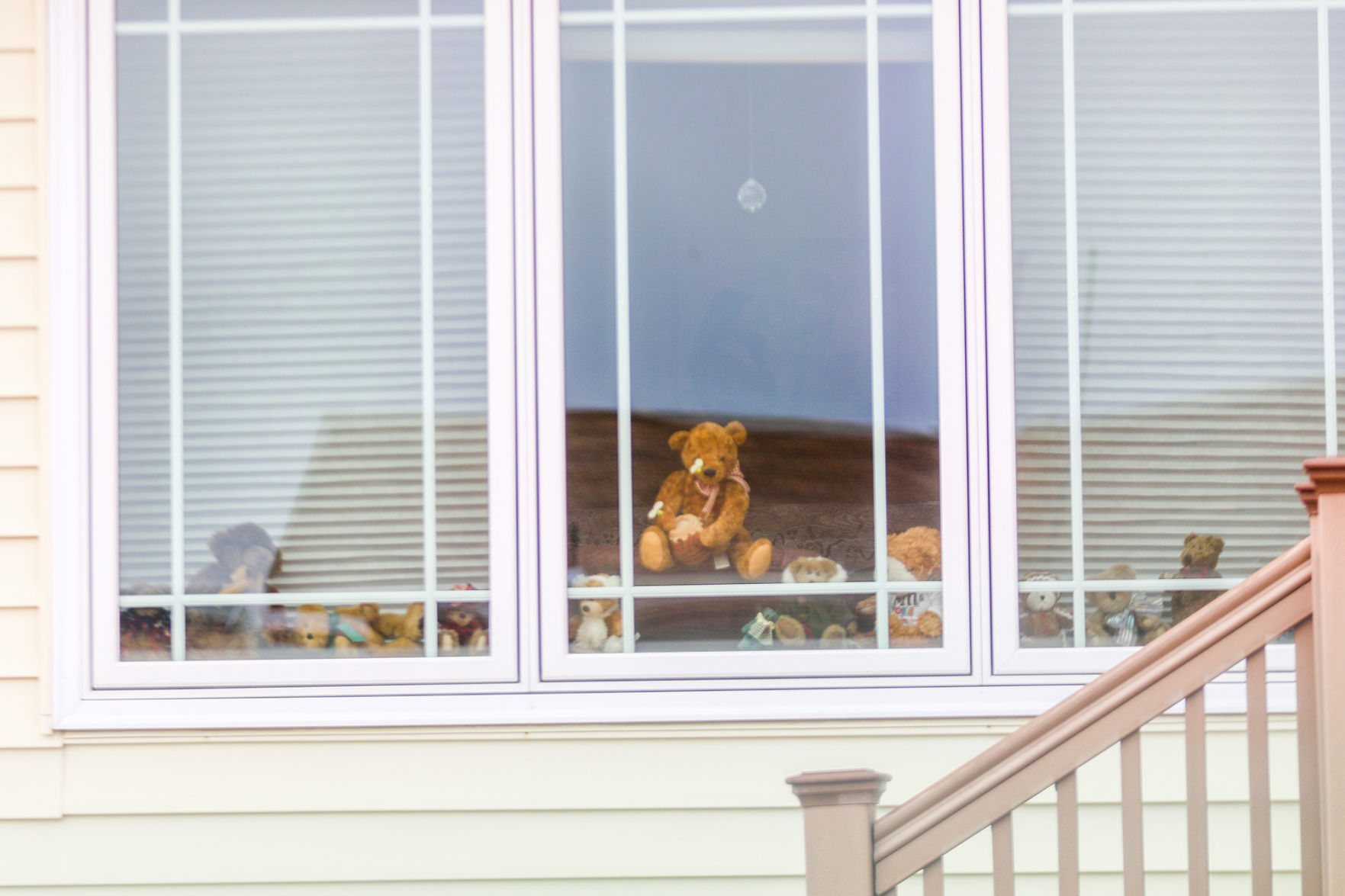 PHOTOS: Bear Hunt